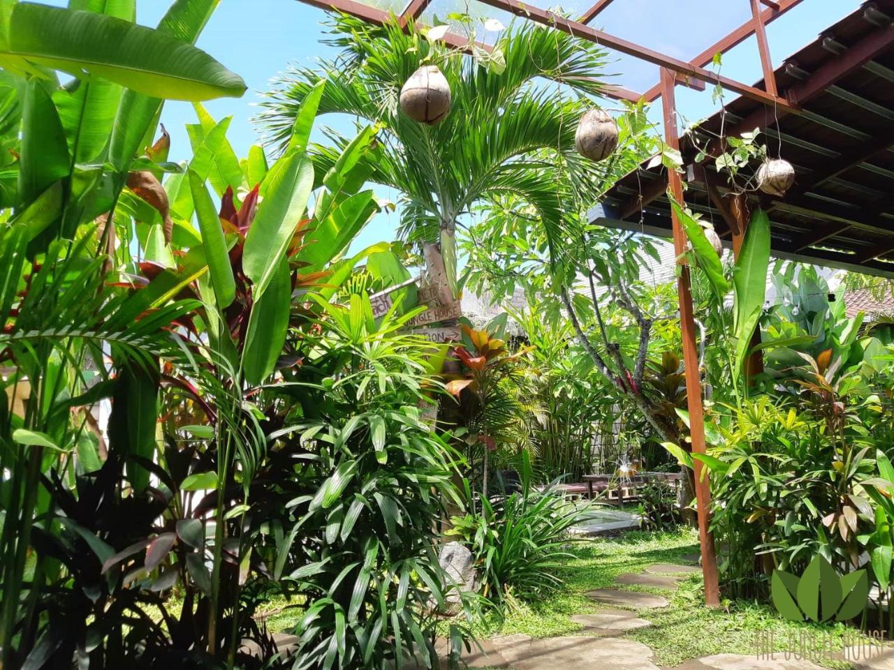 Hostel The Jungle House Canggu Exteriér fotografie